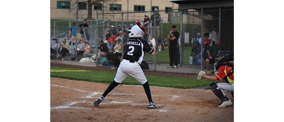 Vestal Little League